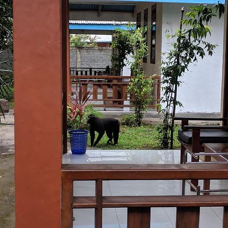 Tangkoko Macaca Hotel Rinondoran Kültér fotó