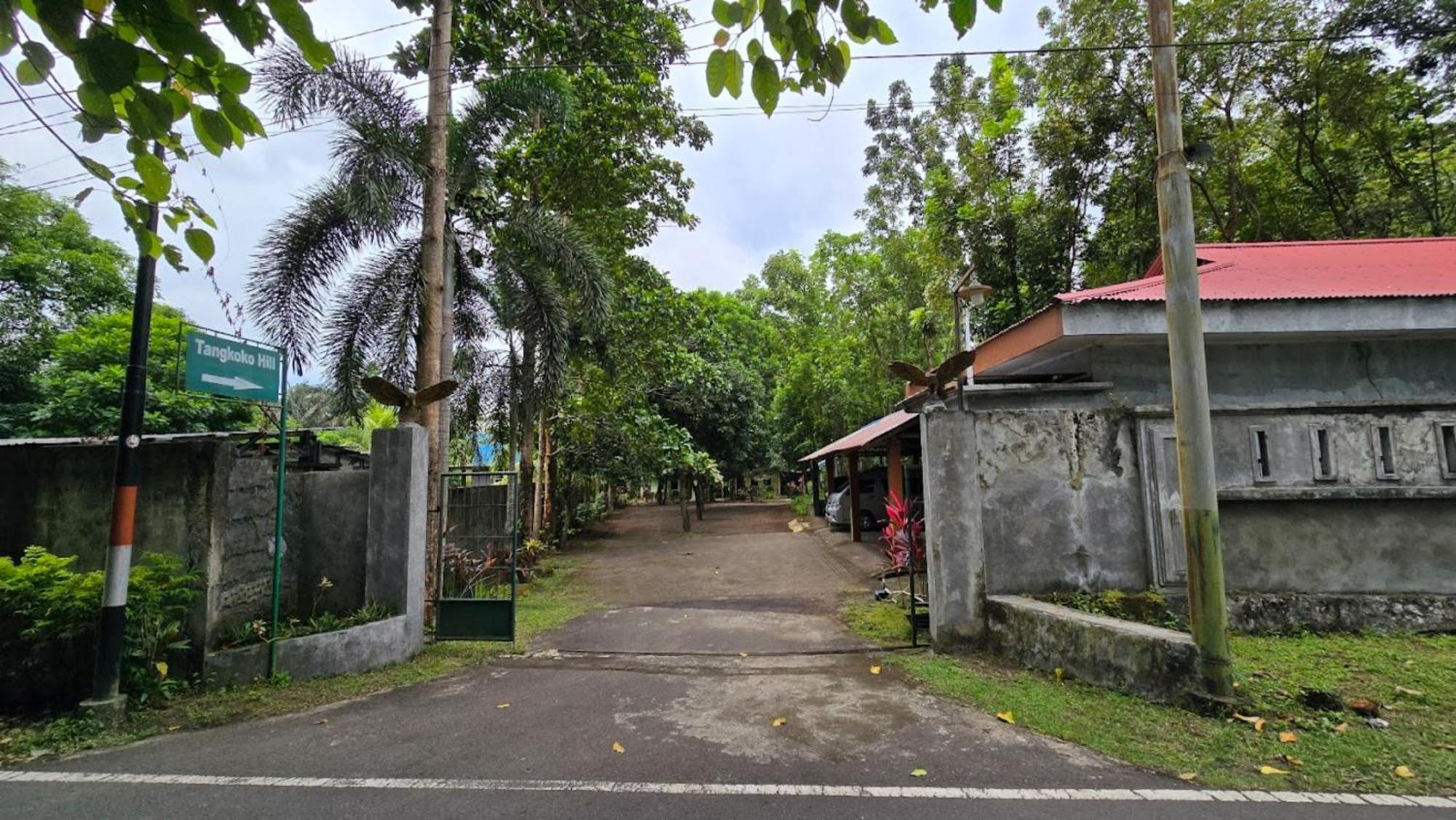 Tangkoko Macaca Hotel Rinondoran Kültér fotó
