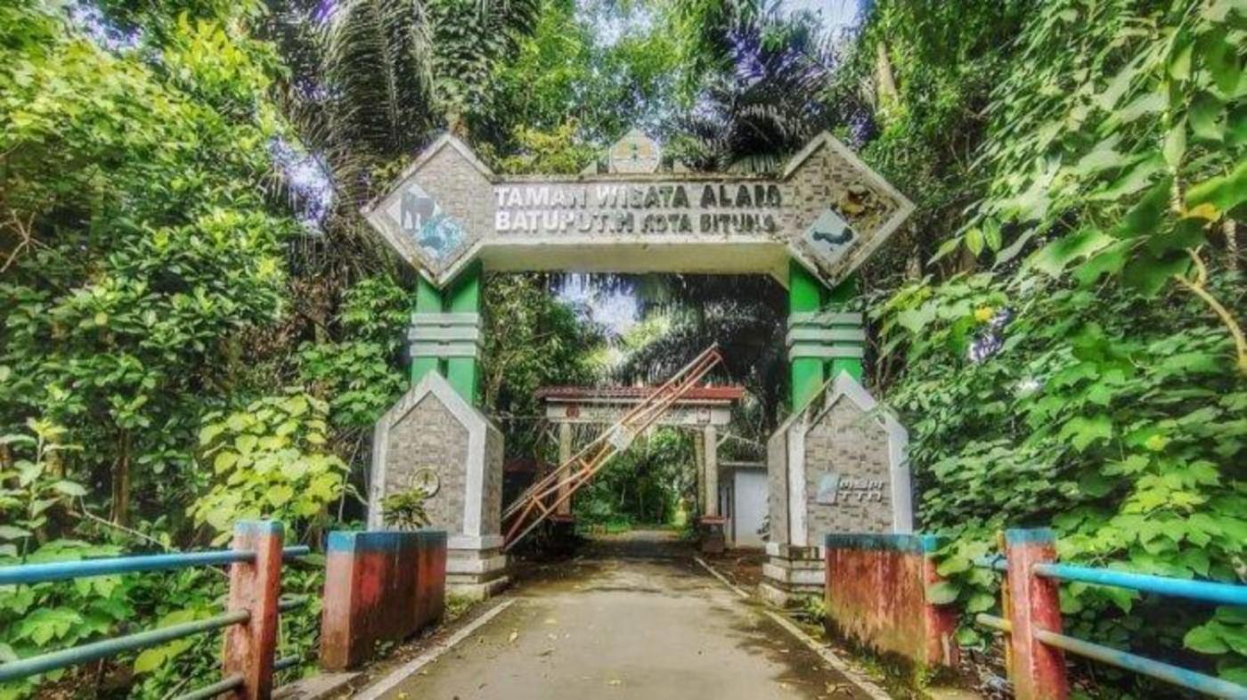 Tangkoko Macaca Hotel Rinondoran Kültér fotó