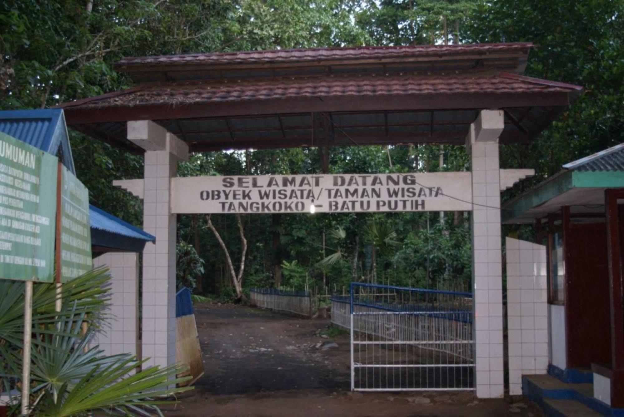 Tangkoko Macaca Hotel Rinondoran Kültér fotó